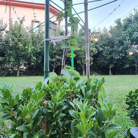 Năvodari Vila Vasile מראה חיצוני תמונה
