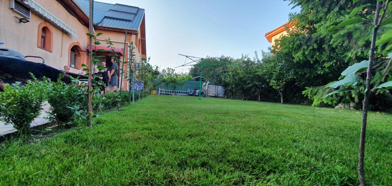 Năvodari Vila Vasile מראה חיצוני תמונה
