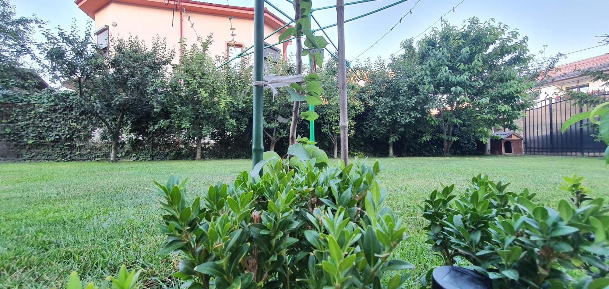 Năvodari Vila Vasile מראה חיצוני תמונה
